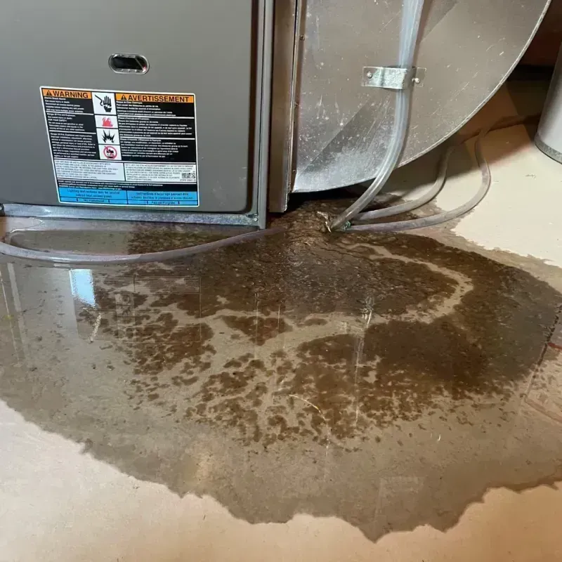 Appliance Leak Cleanup in Bolivar, MO